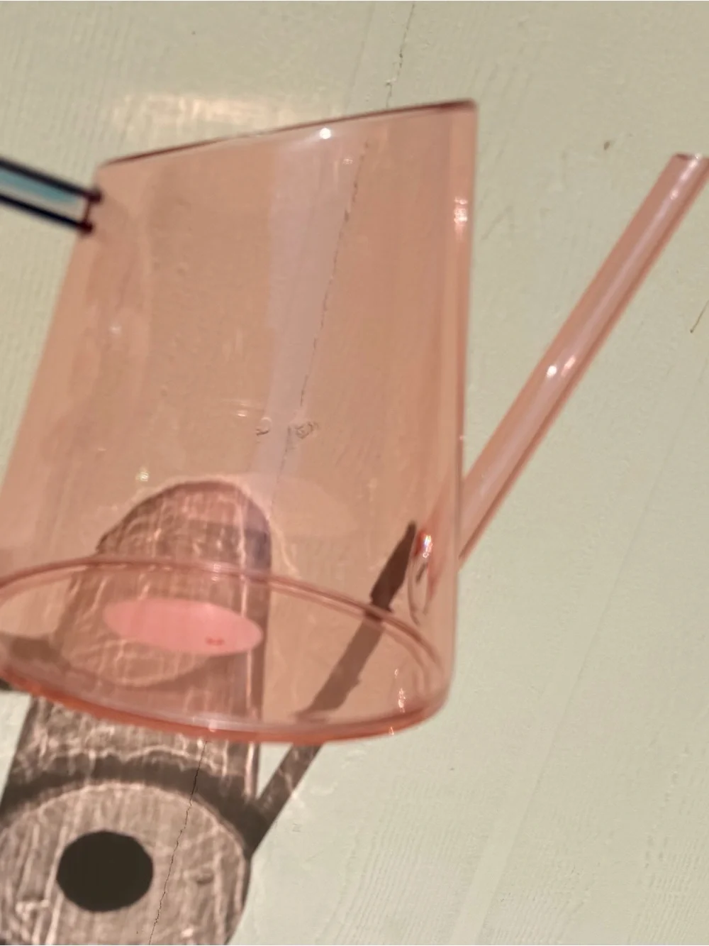 Target Pink Transparent Plastic watering can